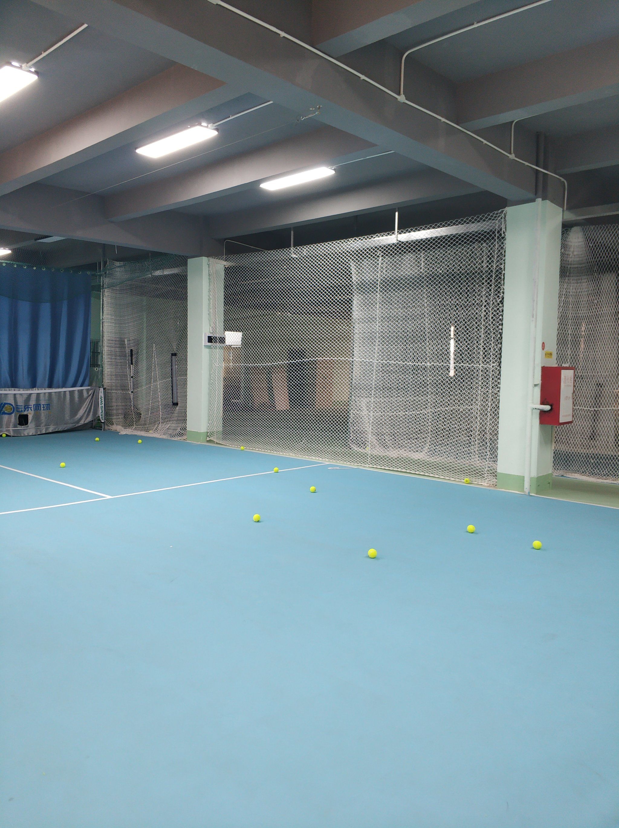 显著优势 显著优势